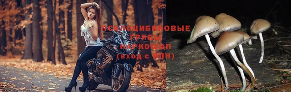 меф VHQ Медвежьегорск