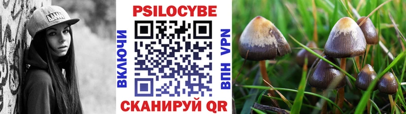 продажа наркотиков  Черемхово  Галлюциногенные грибы мицелий 